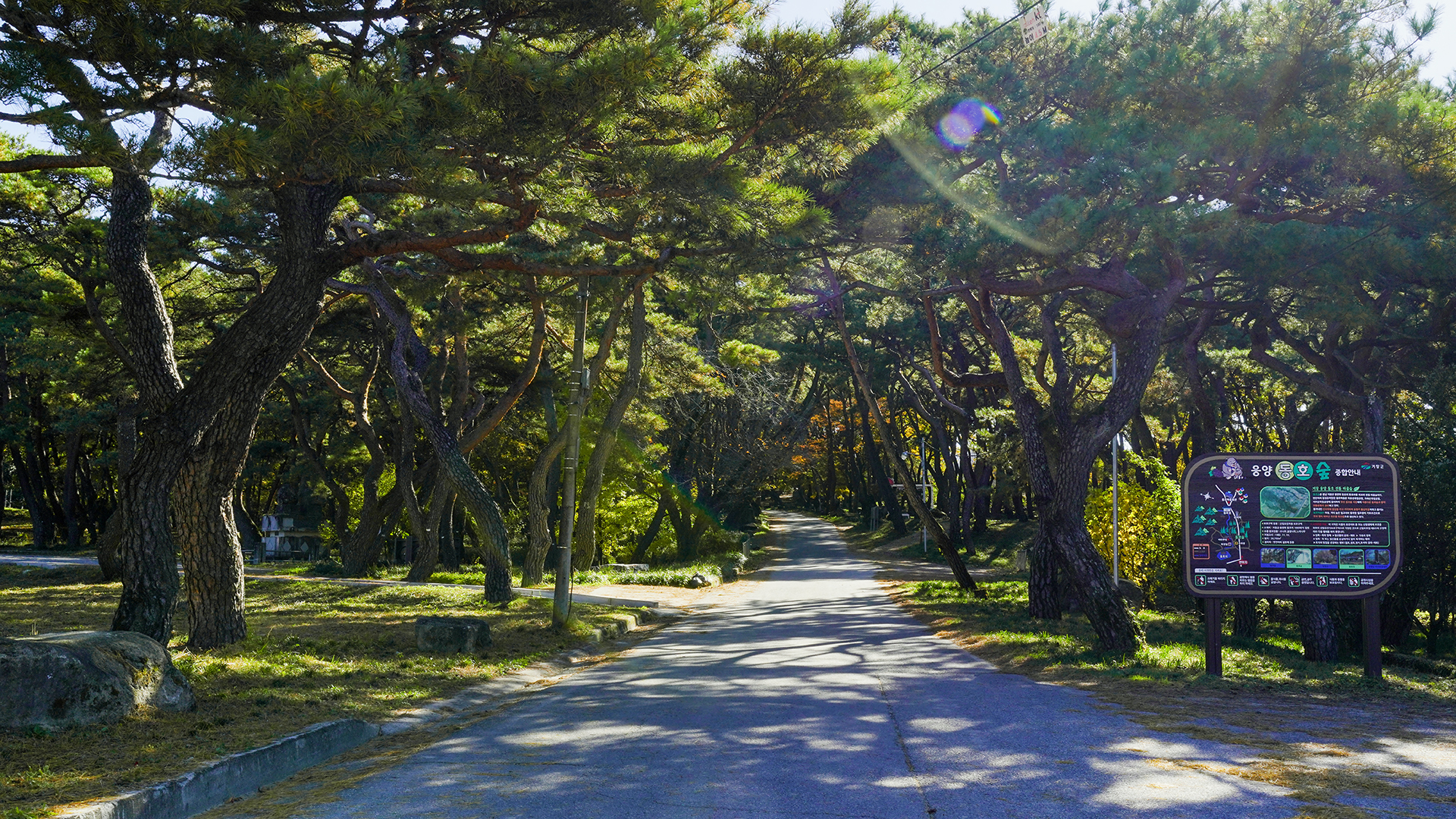 동호숲
